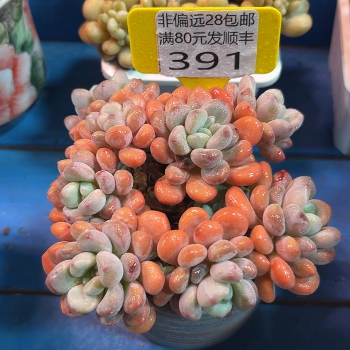 大391、bvbvknjnnnnh