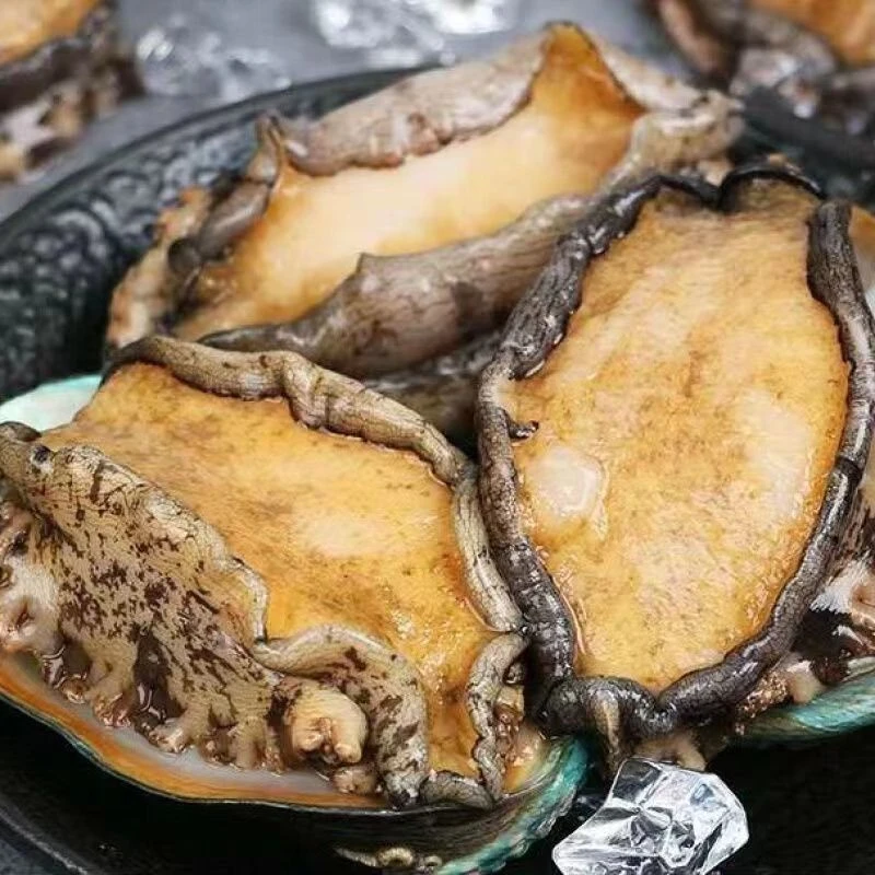 （仅限珠三角地区）鲜活鲍鱼一斤