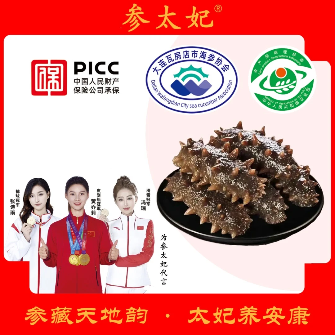 参太妃8个头/斤 五斤装 参太妃大连海参 即食海参