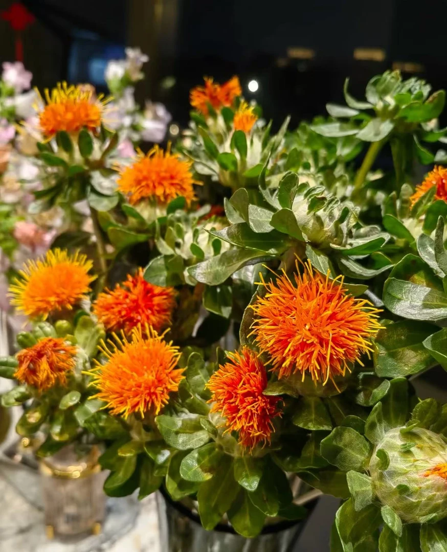 【橙菠萝】家居鲜花 可做干花 耐养 云南基地直采直发