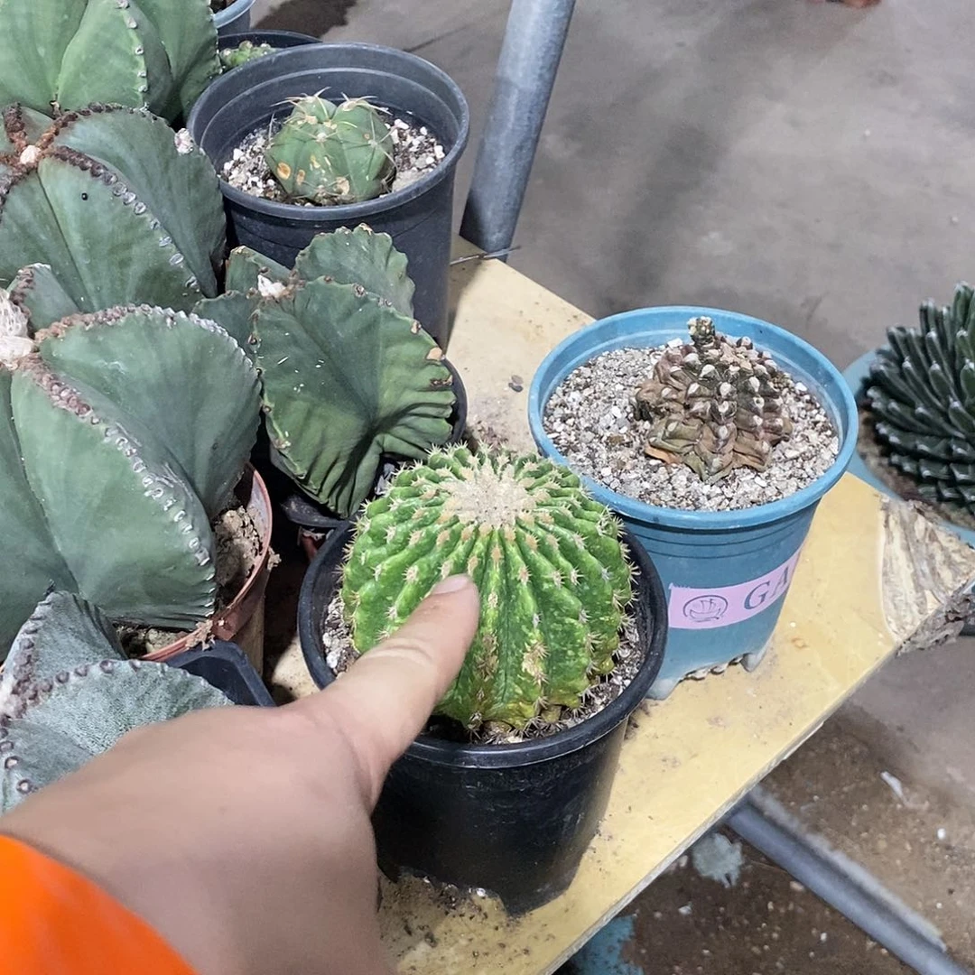 㐗****づ0000000000000000000