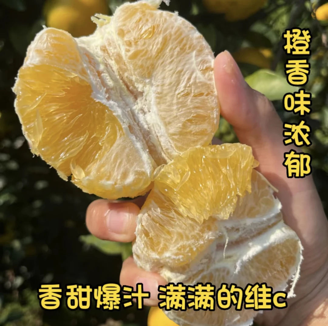 【京东快递】正宗江西赣南脐橙新鲜当季水果5斤/10斤/20/斤装