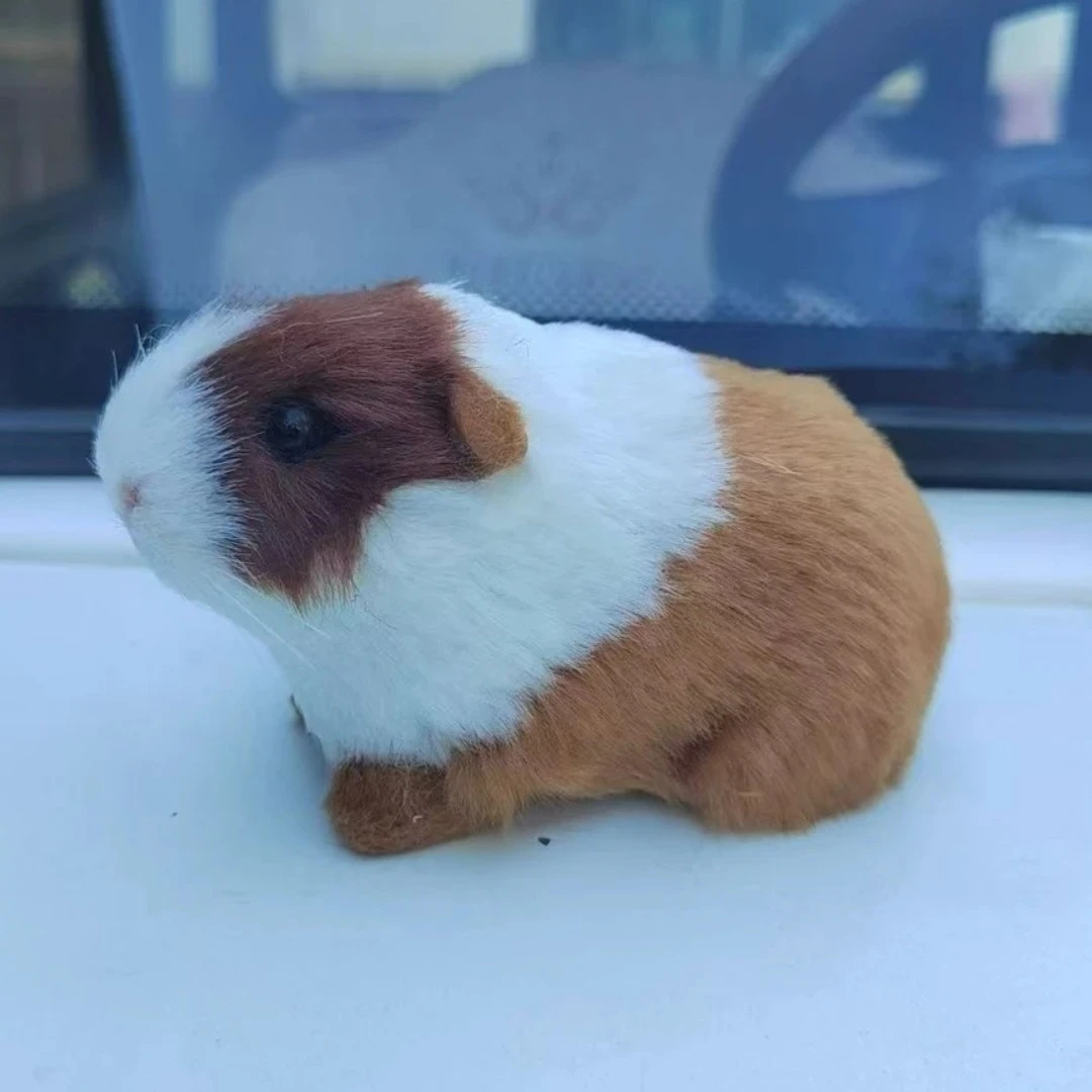 仿真荷兰猪毛绒玩具荷兰猪豚鼠公仔玩偶
