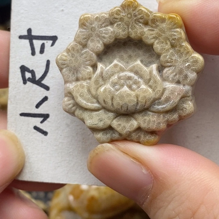 硅化珊瑚（珊瑚玉）未镶嵌颈饰