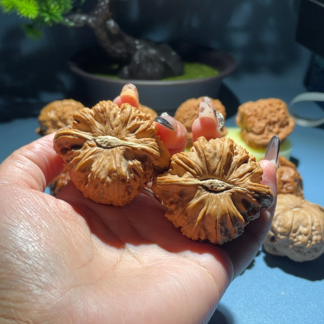 卡姿兰大眼睛49尺寸白狮子