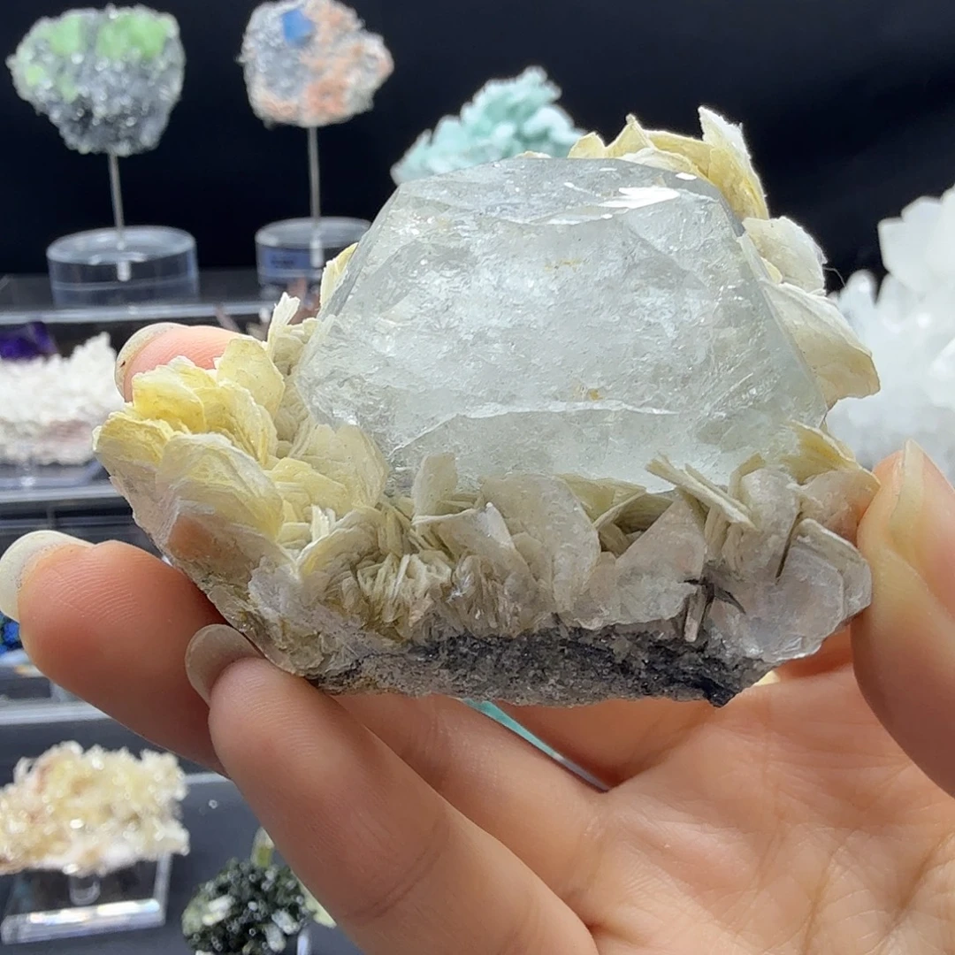 雪宝顶海蓝宝云母