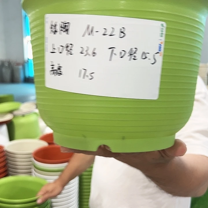 正品矮陶口23.6高17白色无托5只