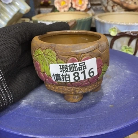 【闪购商品】红陶816