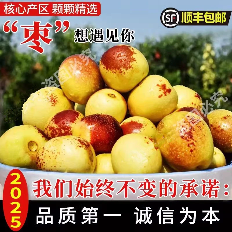 正宗陕西大荔冬枣新鲜大枣特大脆甜冬枣当季水果顺丰3斤5斤整包邮
