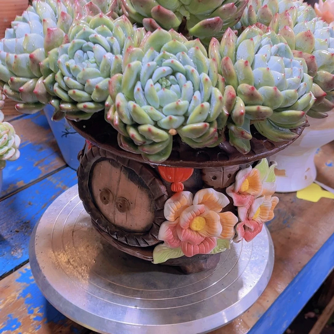 红陶无*多吃点东西吃了