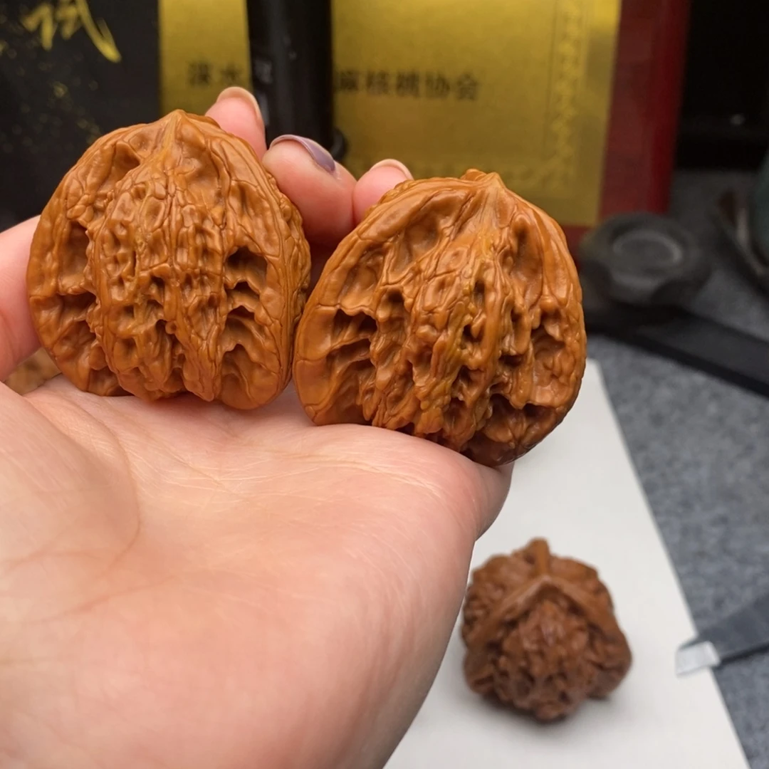 旅***人白狮子1111111111