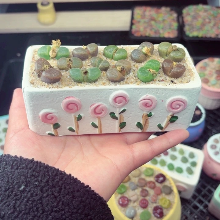 672零下地区记得拍保温箱满18包邮