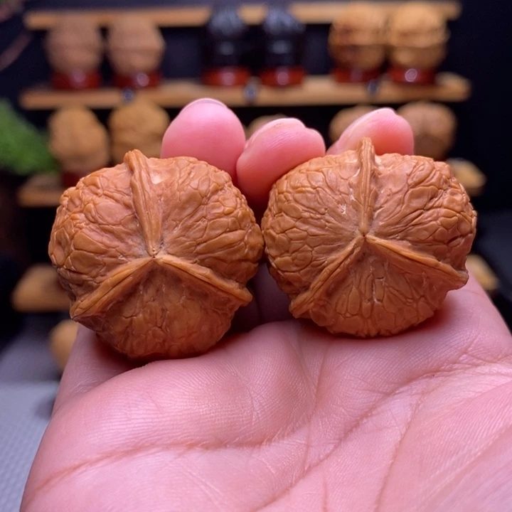 木质类云铁柿饼子三棱44号