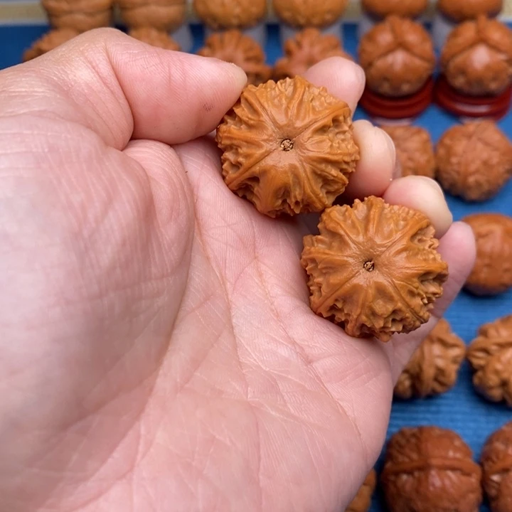 文玩核桃把件蚂蚁粗筋