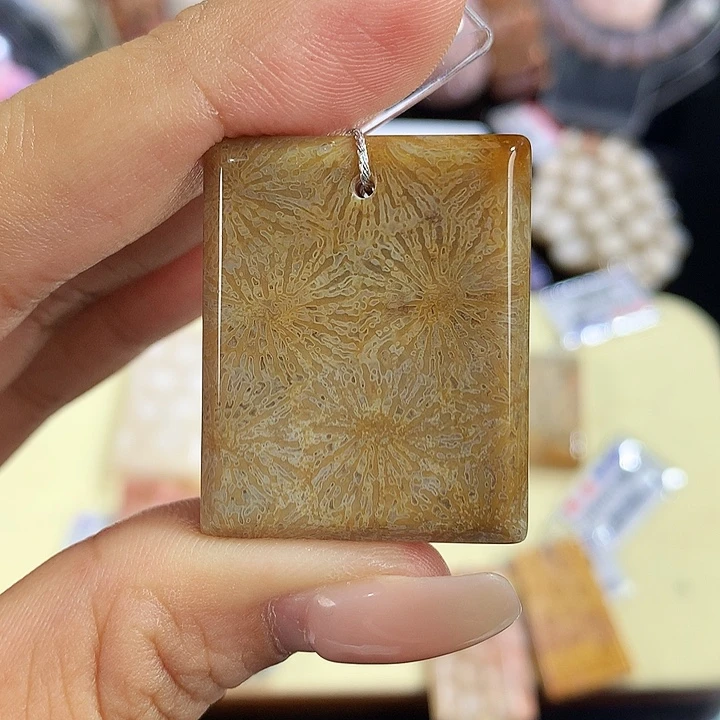 硅化珊瑚（珊瑚玉）未镶嵌吊坠(赠链)9号永生花