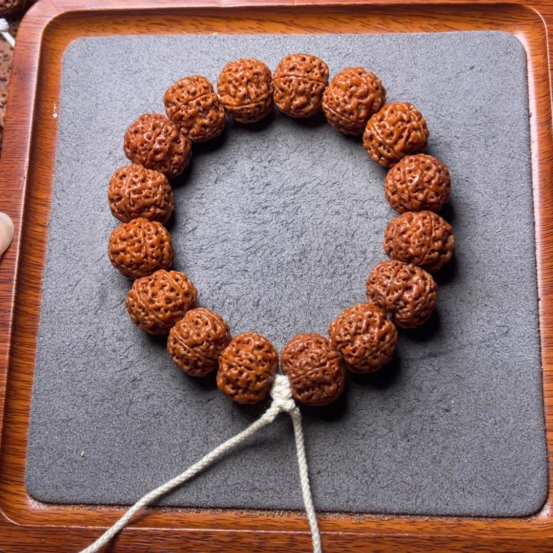 菩提3号金刚菩提满肉梅花蜂窝20+