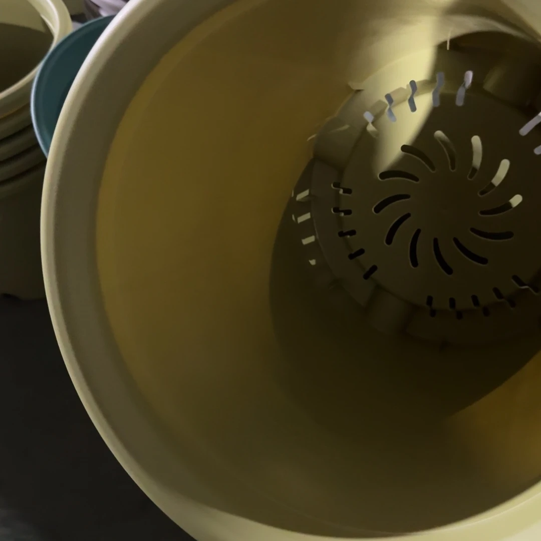 微瑕8号无拖果绿5个