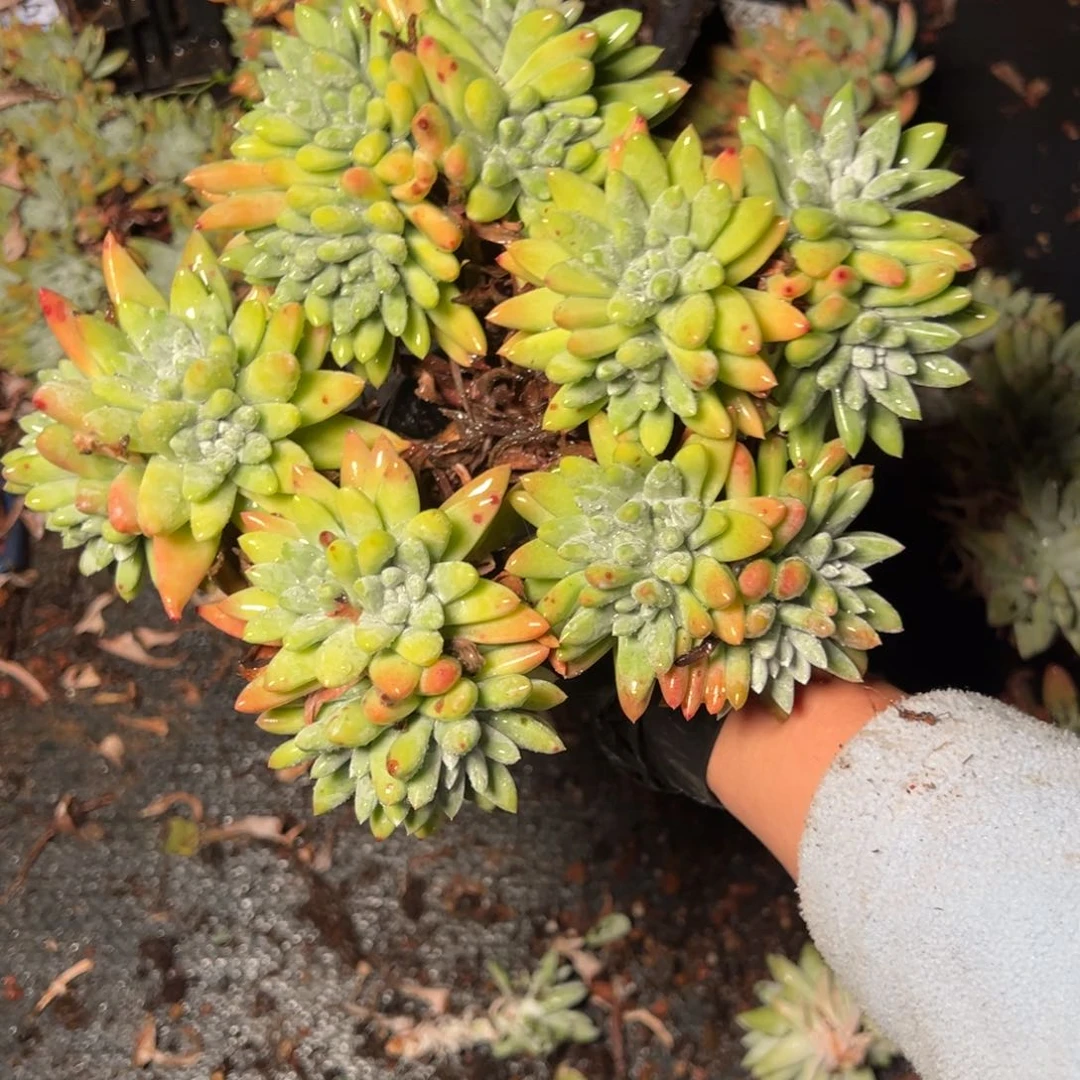 2774哈哈哈哈哈哈哈哈