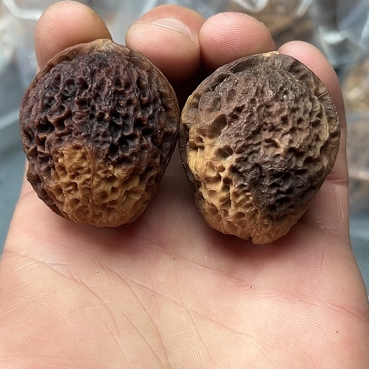 文玩核桃把件9号花彩橄榄石38尺