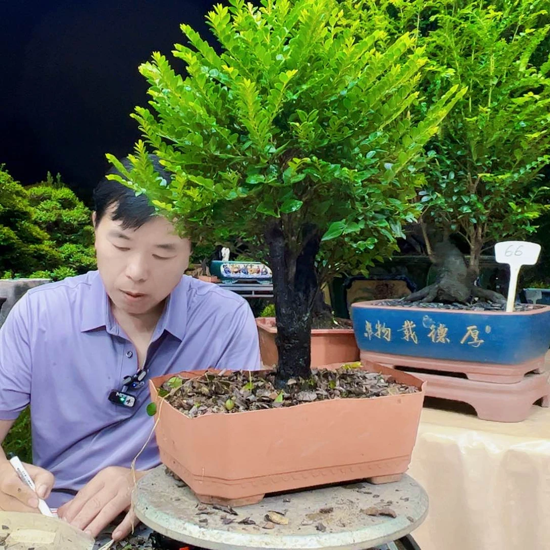 无花朵i**玩12345678