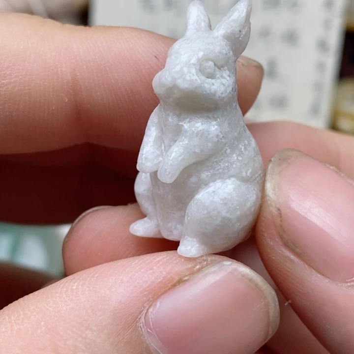 硅化珊瑚（珊瑚玉）未镶嵌颈饰有瑕