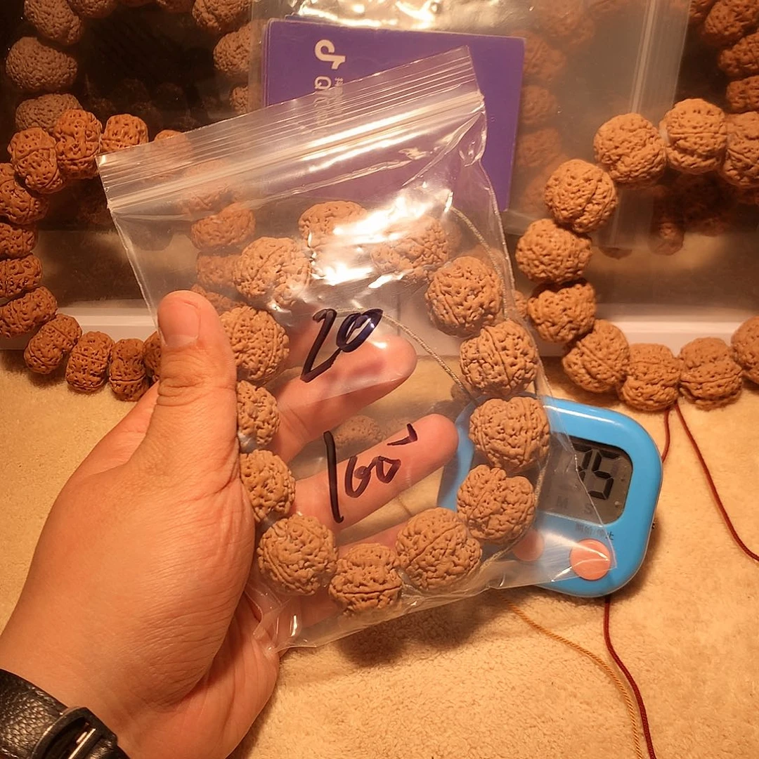 金刚菩提手串用****520。       