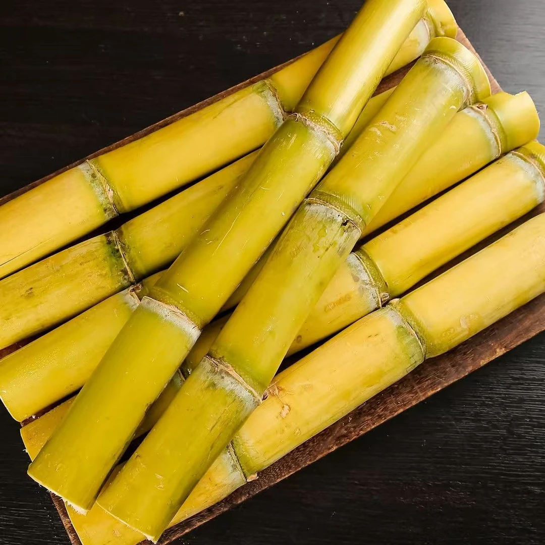 XYY云南新鲜应季黄皮甘蔗黄金甘蔗清甜多汁可手撕水果
