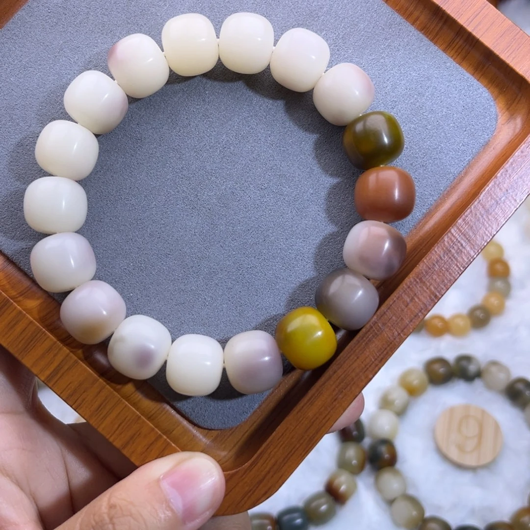 手串菩提根/象牙果半彩卡14