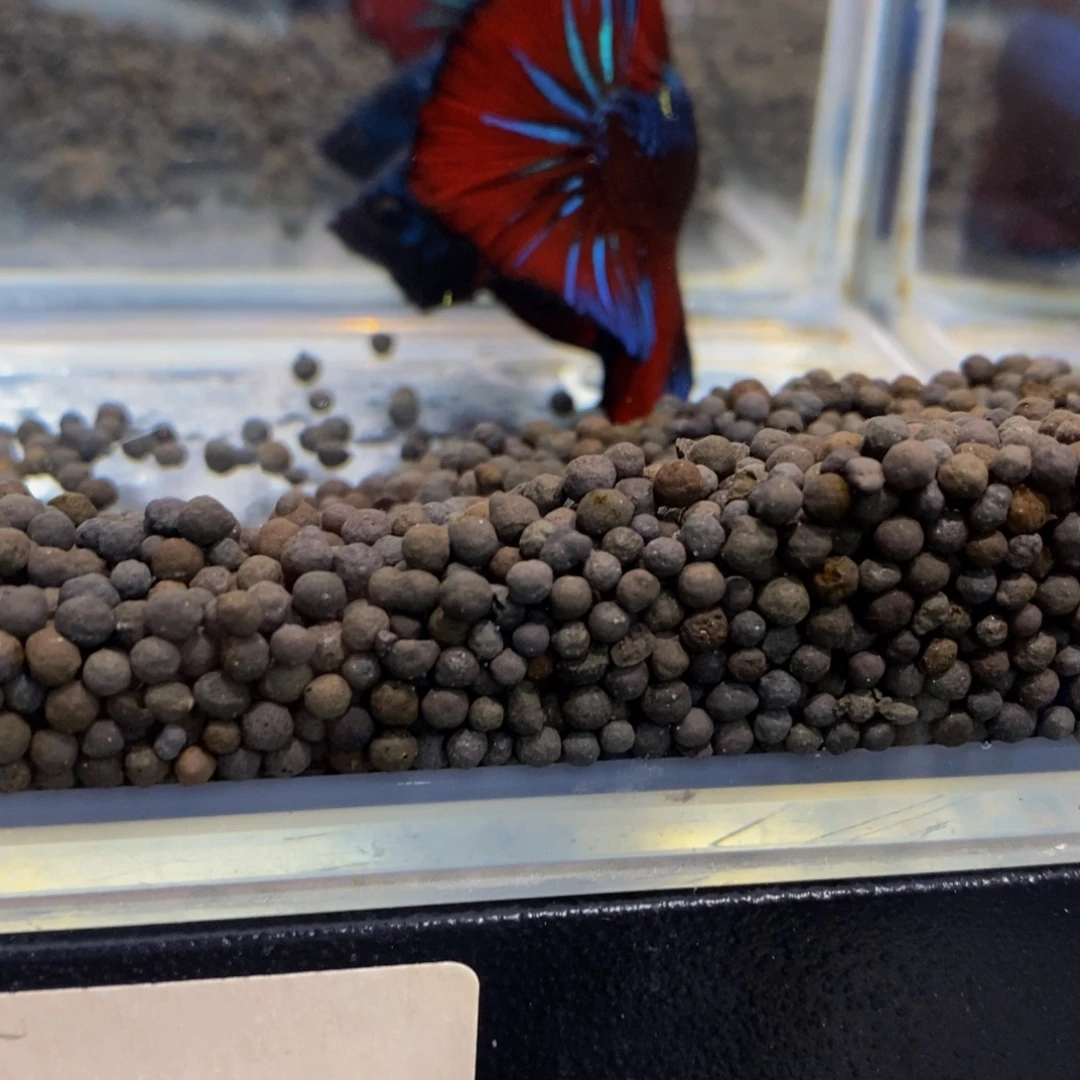 用***我斗鱼324巨斗111星级