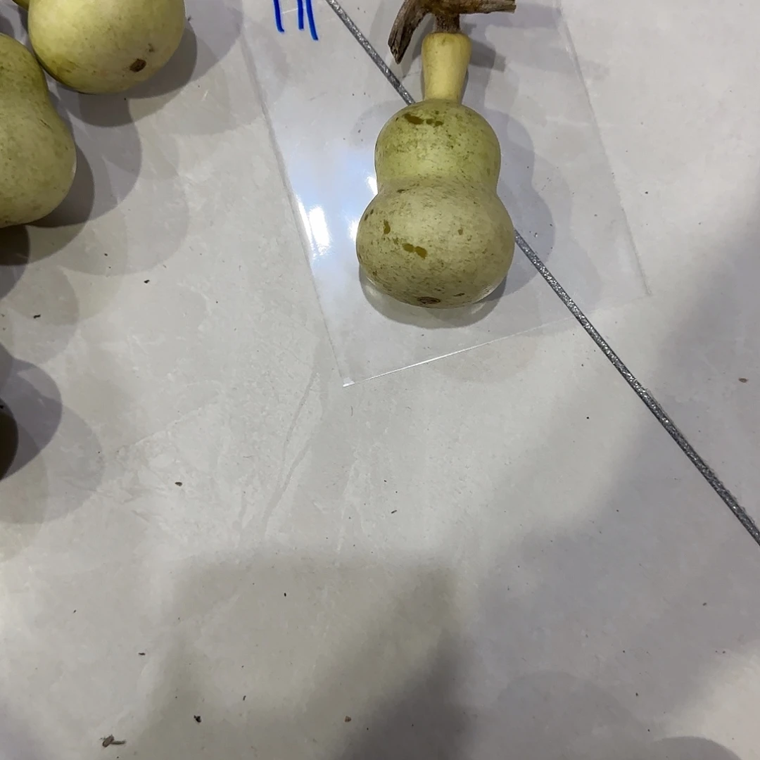 葱***饼青皮不包成青皮不包成