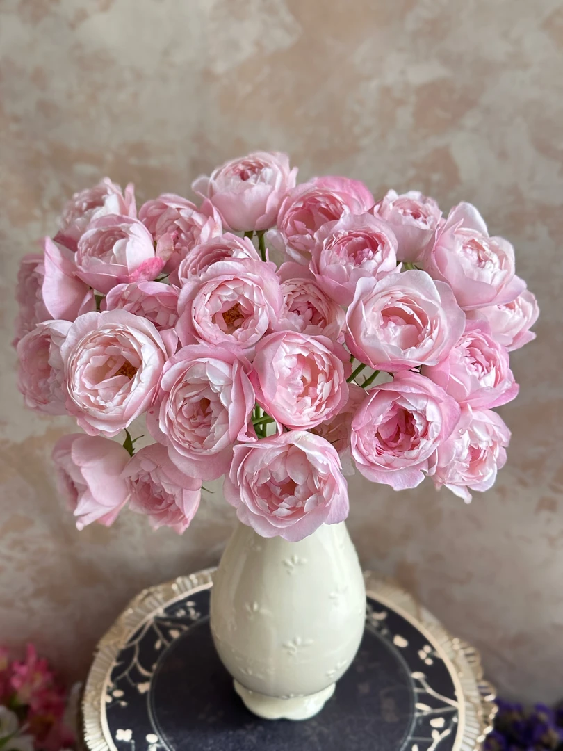 [草莓杏仁饼]玫瑰一单不发货！！