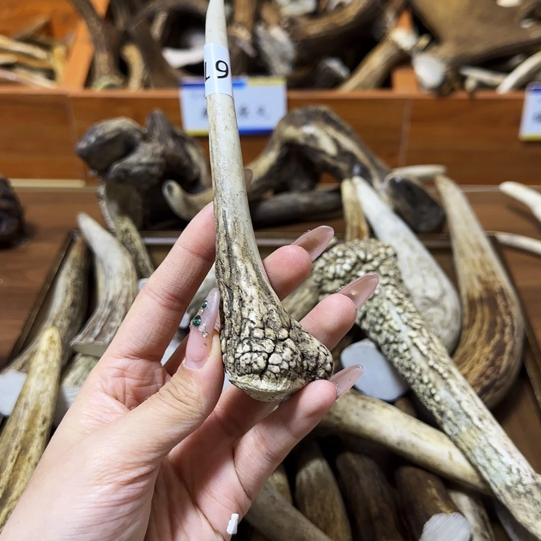 鹿骨手串/手链1613梅花鹿独角