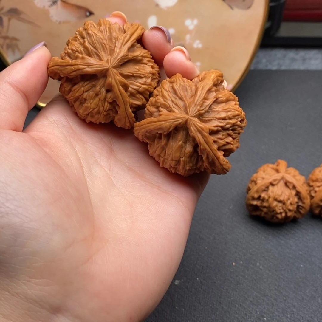 渔白狮子111111111111