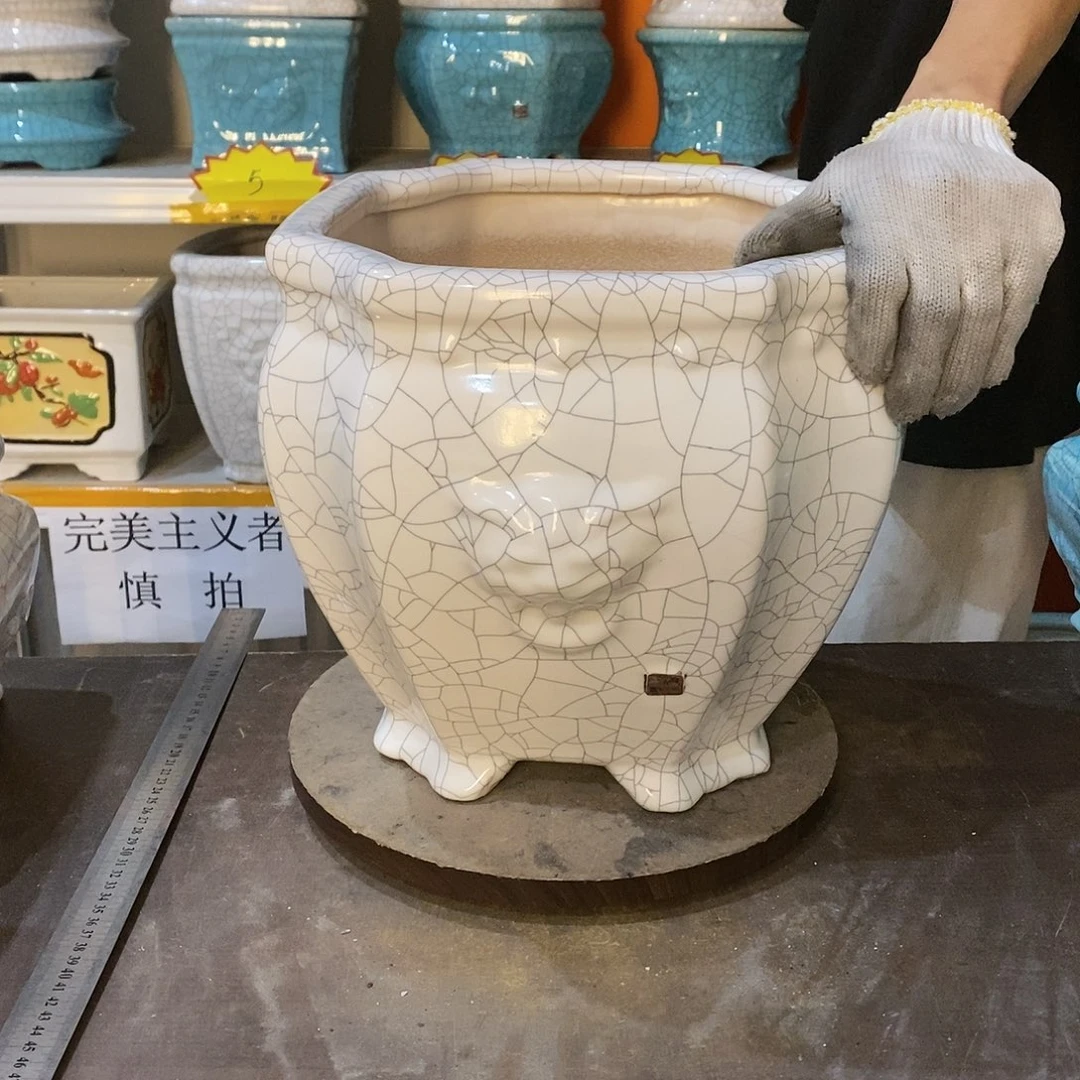 林*东瑕疵花盆花盆里的花