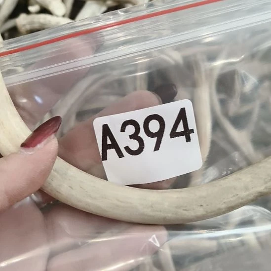 齐***说鹿角鹿角鹿角鹿角鹿角