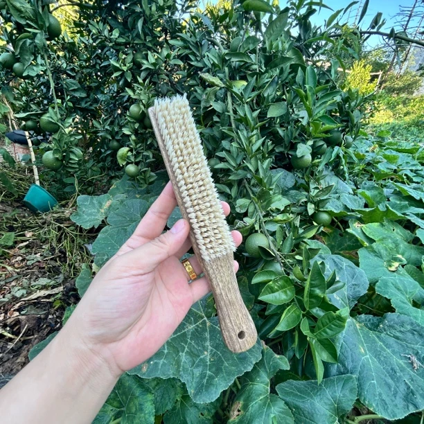 铁矿金刚石1000目数打底刷文玩核桃金刚开荒打底刷子提亮挂瓷刷子