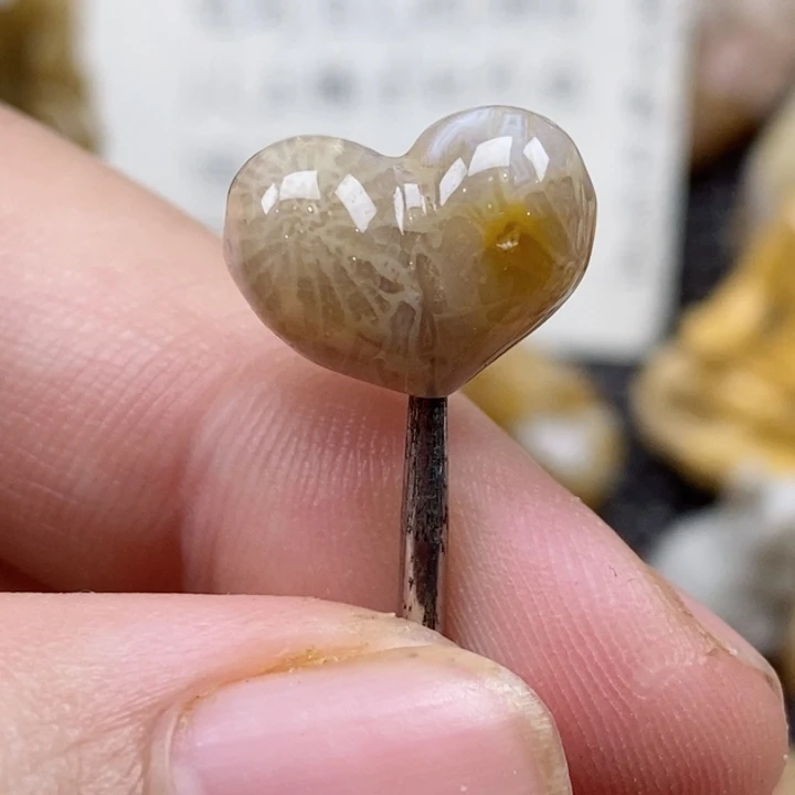 颈饰未镶嵌硅化珊瑚（珊瑚玉）有瑕 小