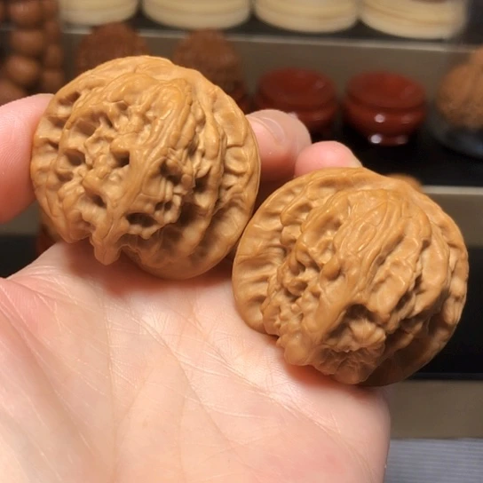 精品：油蜡皮野狼全品