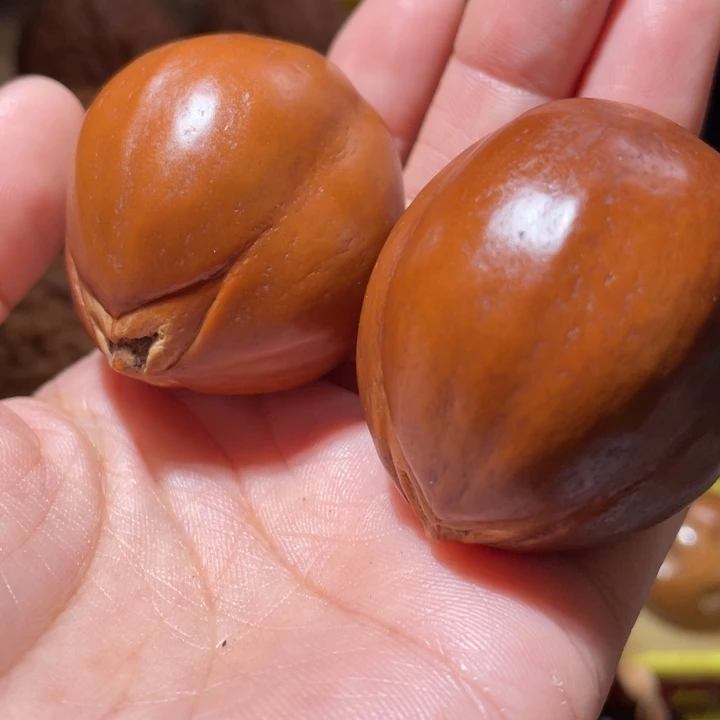 桃核把件橘子核橄榄