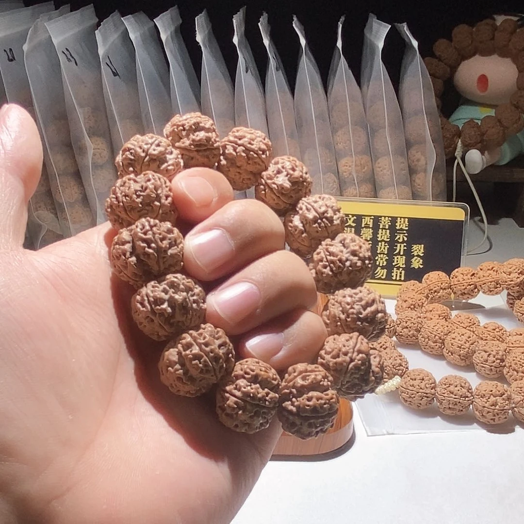 金刚菩提吊坠矮桩原生态双龙20.5mm