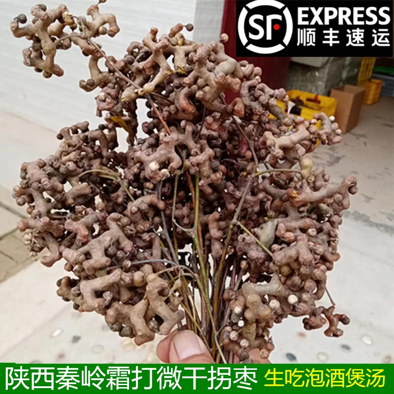 2025年陕西秦岭霜打微干拐枣精品万寿果生吃泡酒煲汤鸡爪梨金钩梨