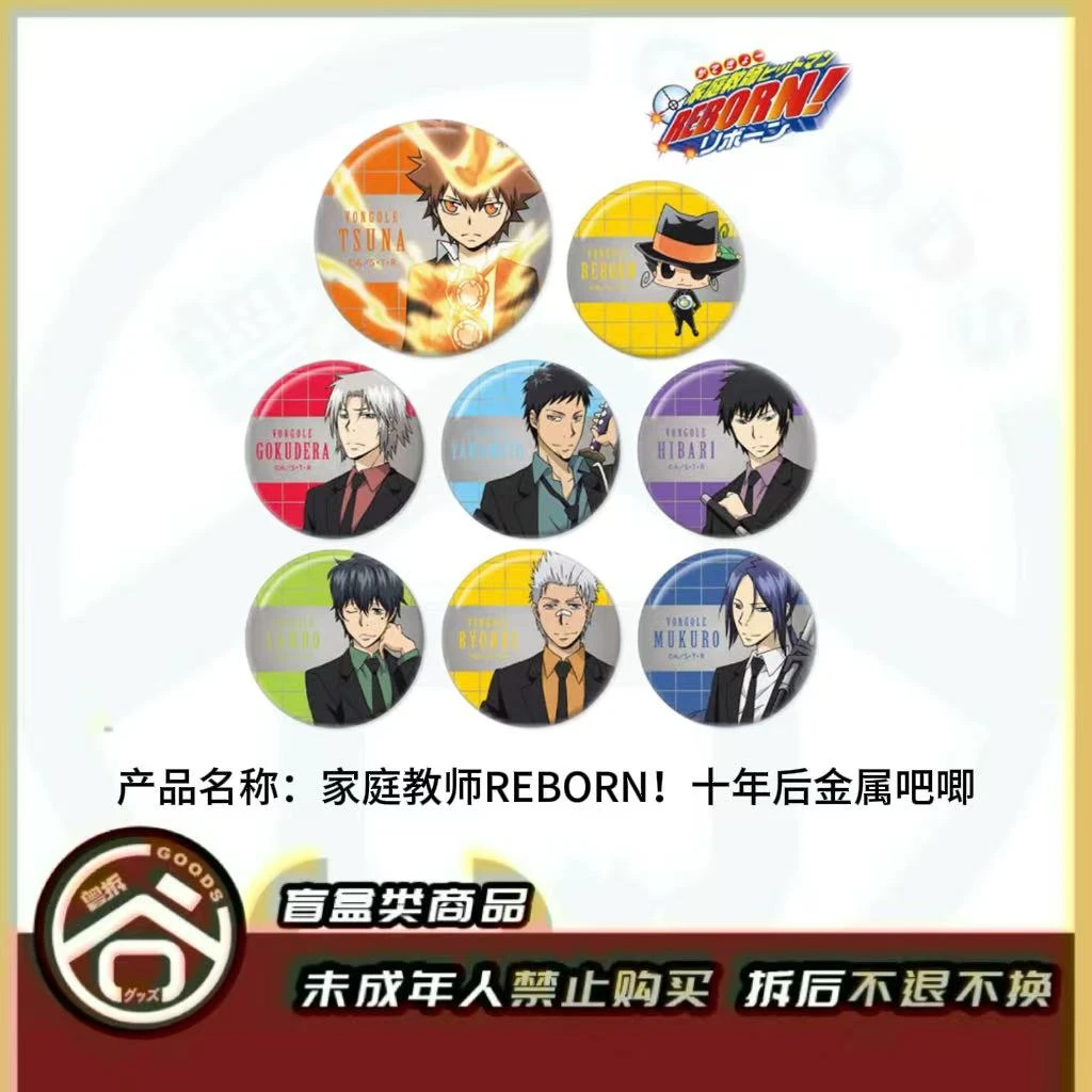 【现货】家庭教师REBORN！十年后金属吧唧  日版正版【盲盒】