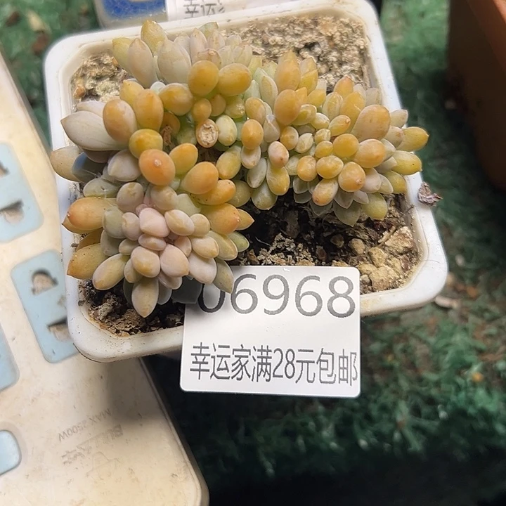 幸运儿的故事也是很
