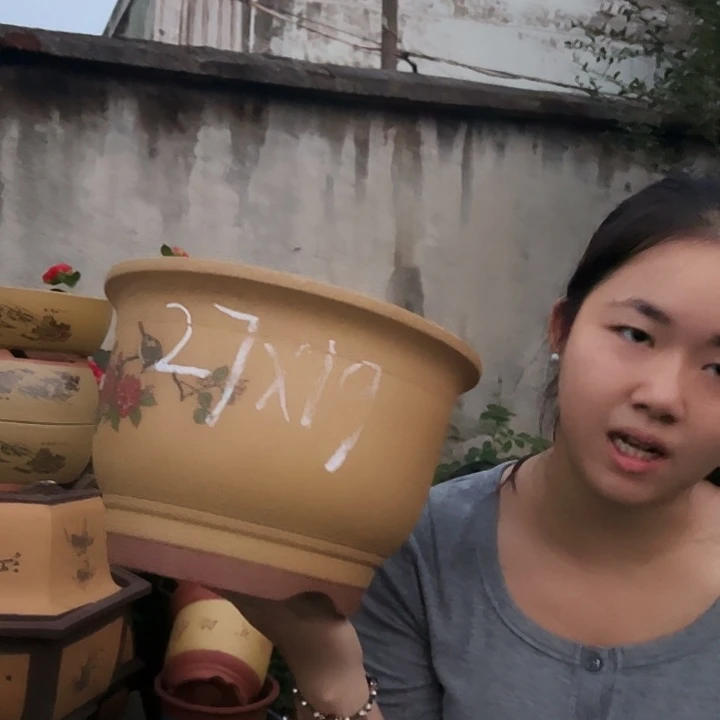 黄色鸟语花香大号一个