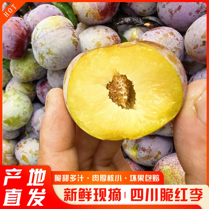 四川李子脱骨李小脆红李现摘现发五斤净重中通包邮