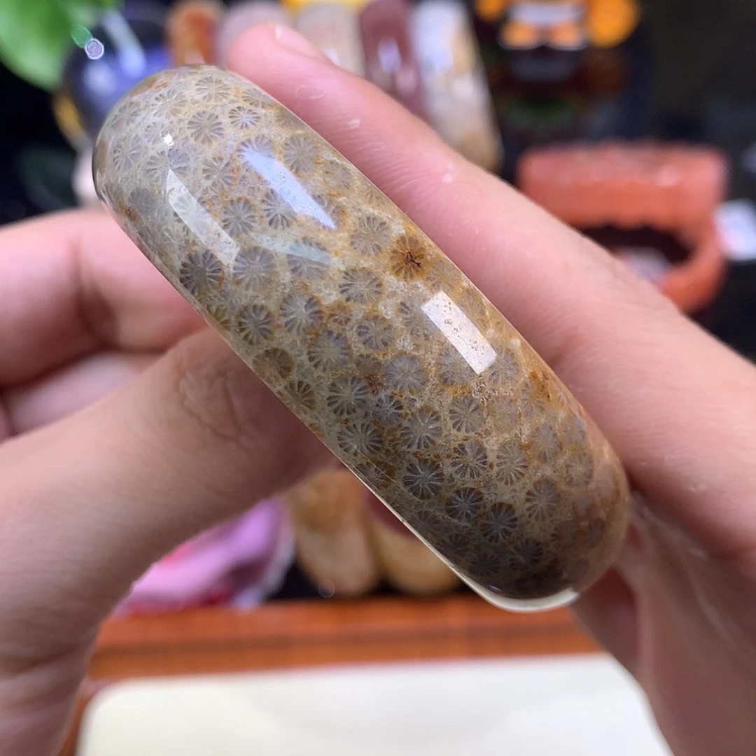 【闪购商品】颈饰未镶嵌硅化珊瑚（珊瑚玉）36号54.8圈蓝心雏菊