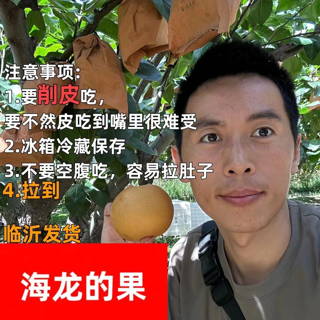 【海龙的果】山东 晚熟 秋月梨 临沂发货 京东快递 清甜口感