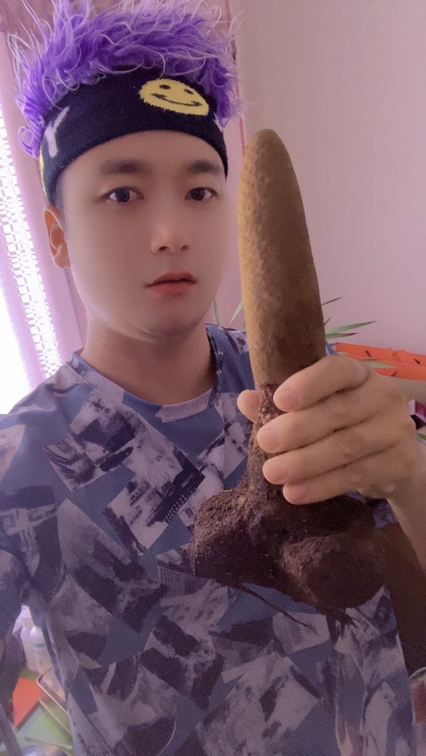 野生大山里的鲜活锁阳