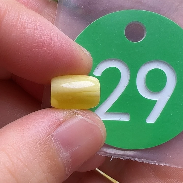 蜜蜡未镶嵌珠宝奇石7.6mm花粉