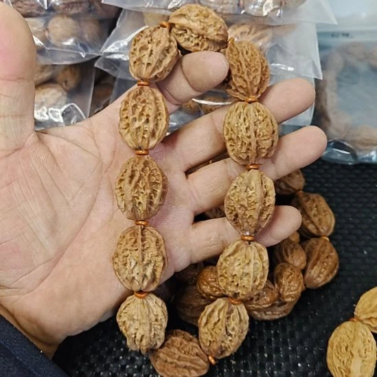 木质类纯野生山核桃      26